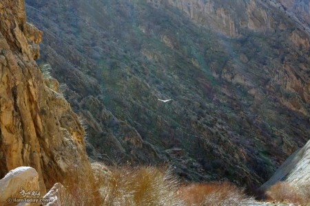 گزارش تصویری - شهرستان شیروان و چرداول