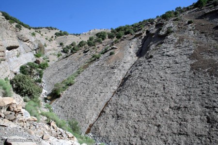 گزارش تصویری - 