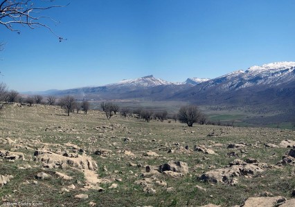 مانشت
