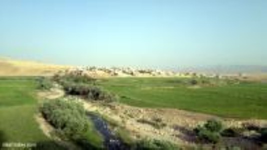 مزارع برنج از روستای دارتوت از توابع بخش مرکزی چرداول