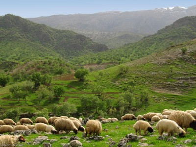 طبیعت منطقه کلم