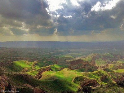 کولگ