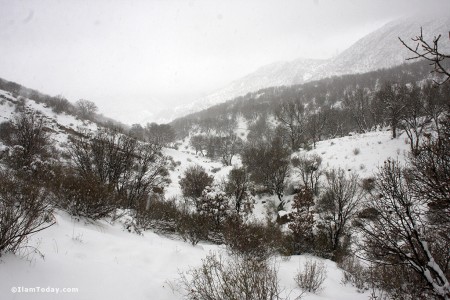 روز برفی تنگه ارغوان 