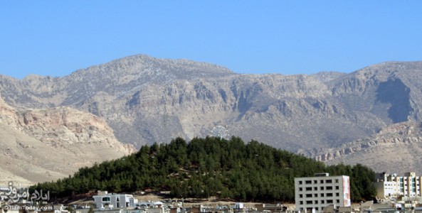 تپه شاهد(خرگوشان)