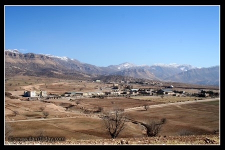 دانشگاه ایلام
