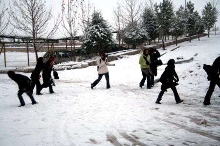 ایلام برف شادی