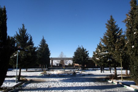 دانشگاه ایلام