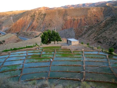 آبدانان