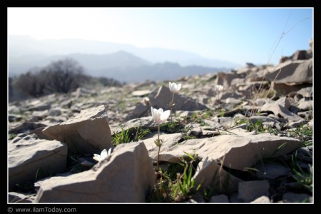 اسبه رو - سیاه کوه