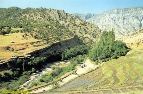 تفريحگاه دره كلم