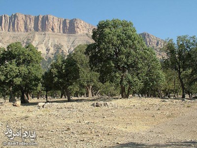 طبيعت زيبای ايلام