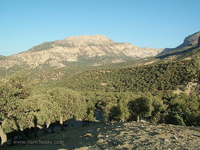 طبیعت زیبای ایلام