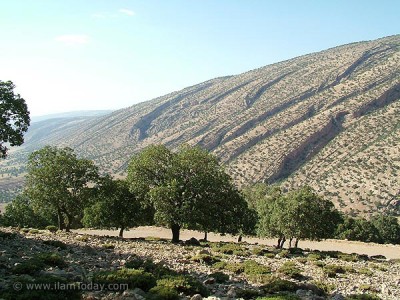 طبیعت زیبای ایلام