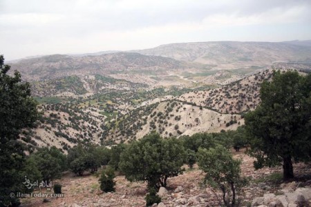 بیوره - ملکشهاهی مهران