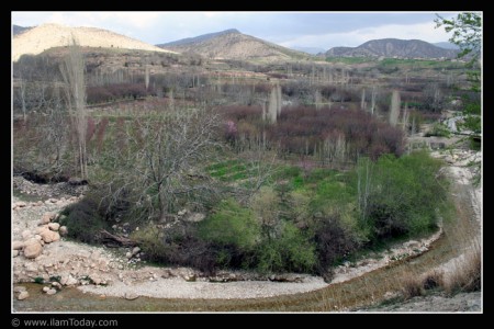 روستای حیدر آباد - میشخاص