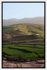 منطقه شیروان