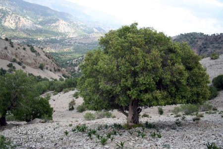کبیرکوه
