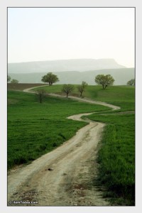 منطقه شیروان