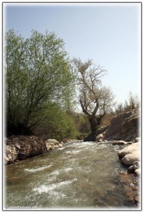 رودخانه روستای کلم