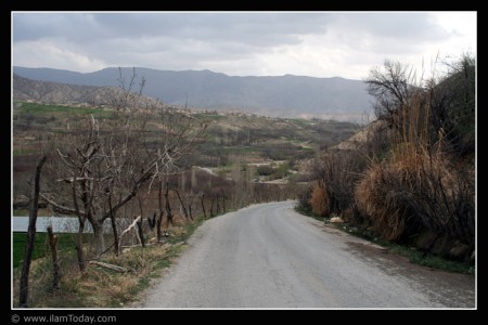روستای زردآلود آباد - میشخاص
