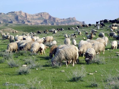 مناطق گرمسیری استان ایلام