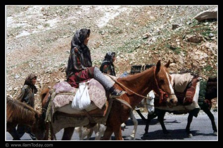 زندگی عشایری در استان ایلام