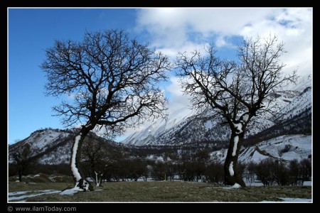 دامنه های کبیرکوه