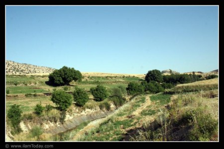 از باغهای روستای چشمه کبود(گرگو)
