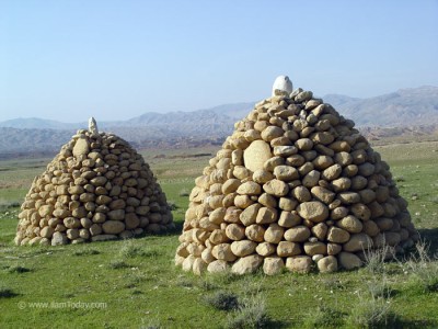 گرمسیر - نی پهن