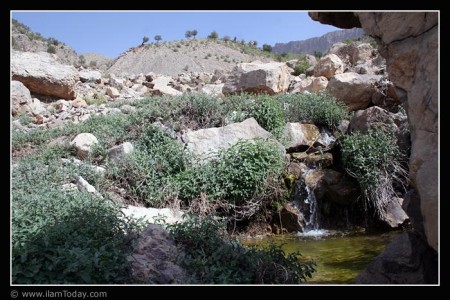 کیه نی چای (چشمه چای)