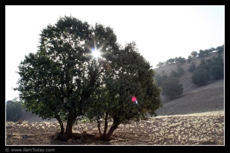 صبح کبیرکوه