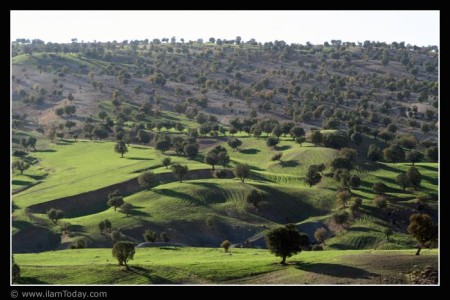 طبیعت ایلام - جاده ایلام  میشخاص