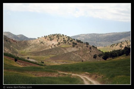 ارکواز ملکشاهی