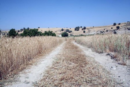 روستای چشمه کبود