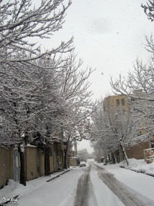 خنده به دلمردگي زمين كرد!