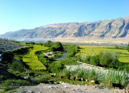 کشتزارهای شیروان چرداول