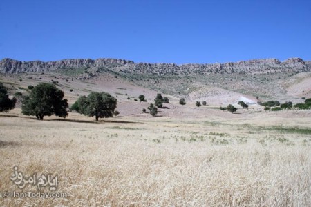 نزدیکی های چشمه تیرتاف