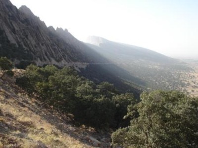 طبیعت ایوان