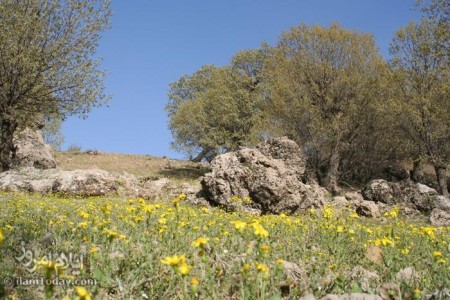 دامنه های کبیرکوه