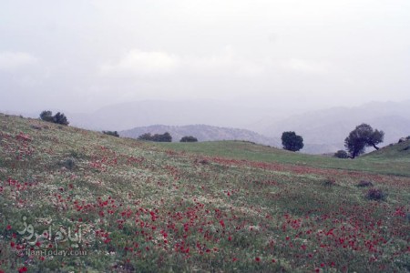 ایلام - کان گنبد (کانه گمگ) 