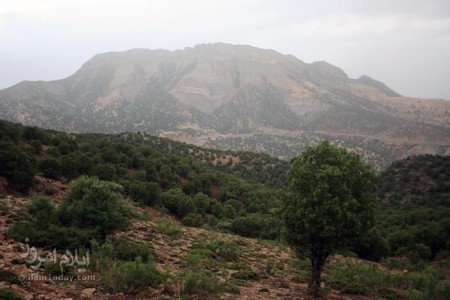 کوه مانشت