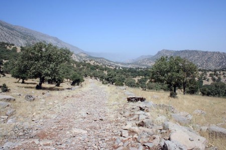 بدره