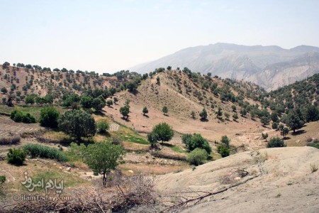 یکی از باغهای