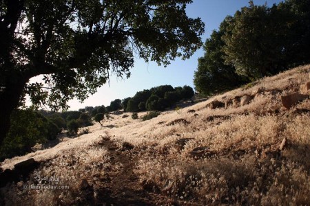 اطراف ایلام