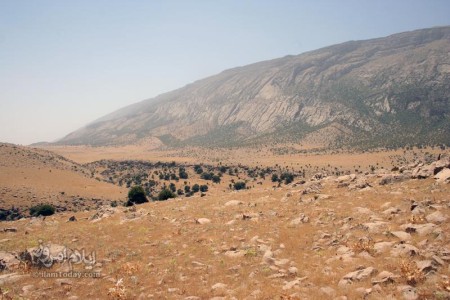 کبیرکوه - بدره