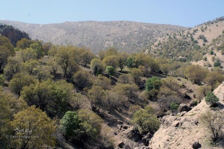 دامنه های کبیرکوه