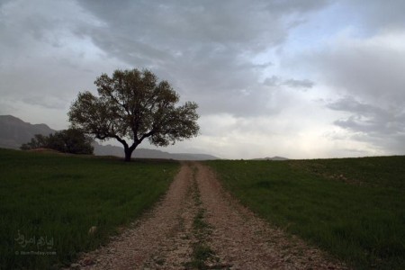 ششدار