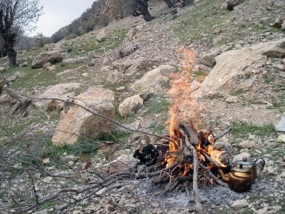 نزدیکیهای سد ایلام