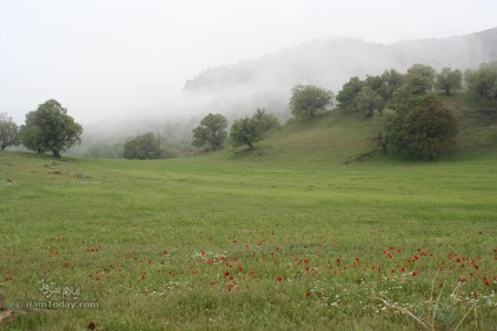 کان گنبد