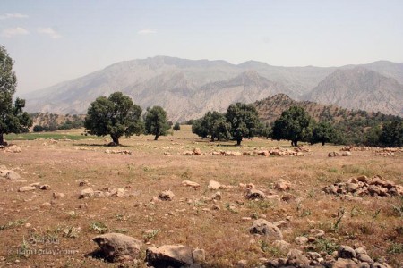 آوه زا - سیوان کوه